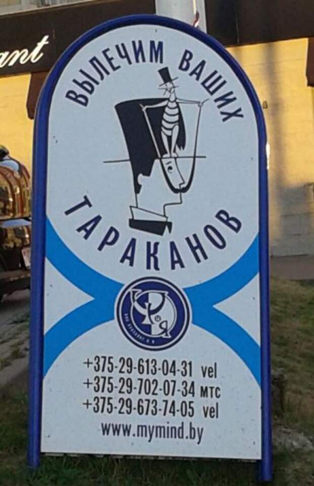 Маразмы месяца