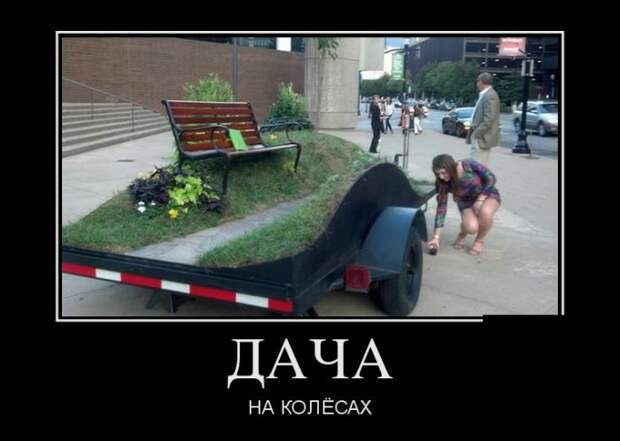 Демотиваторы бревно, демотиваторы, юмор