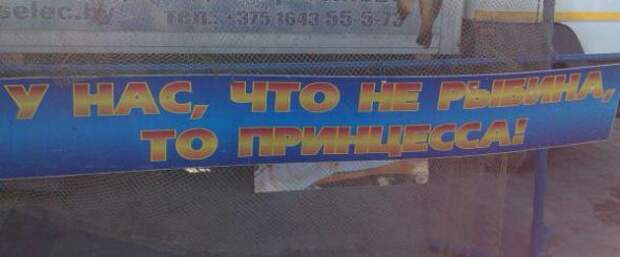 Маразмы месяца