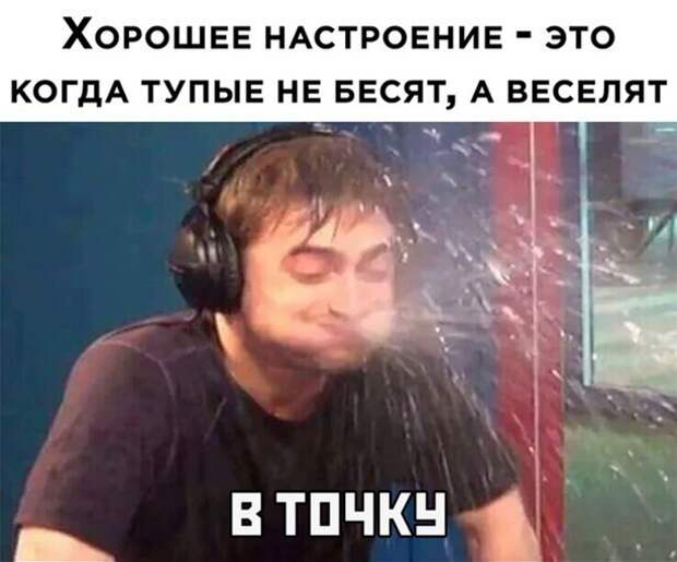 Подборка замечательных весёлых картинок