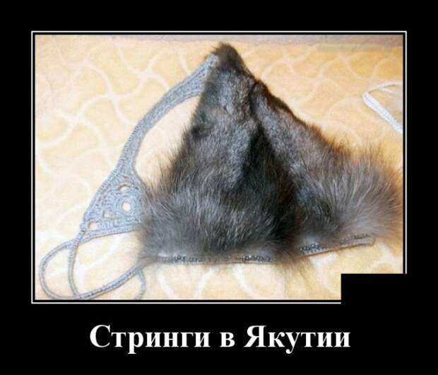 Демотиваторы (30 фото)