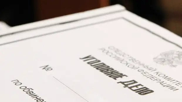 По факту убийства четырёх собак в Пермском крае возбуждено дело