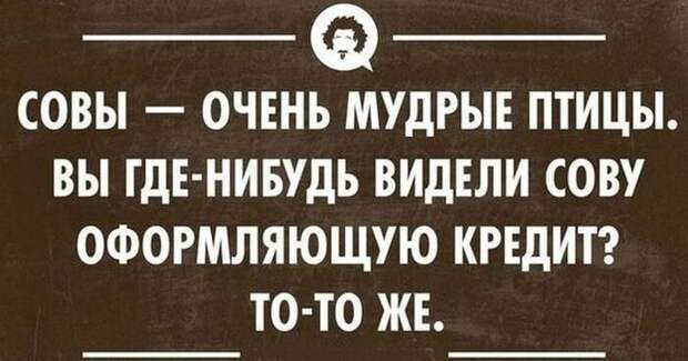 ЭТИ ФРАЗЫ НЕСОМНЕННО ПОДНИМУТ ВАШЕ НАСТРОЕНИЕ