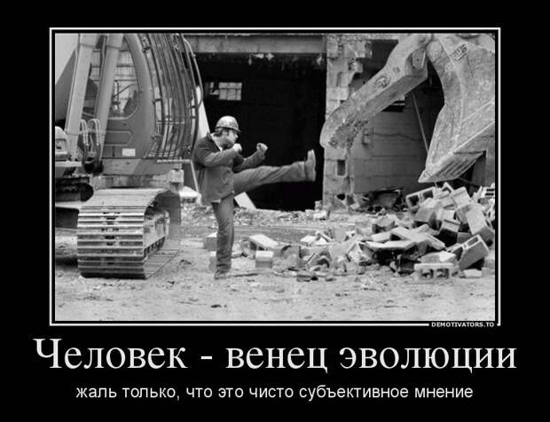 Демотиваторы дня (19 шт)