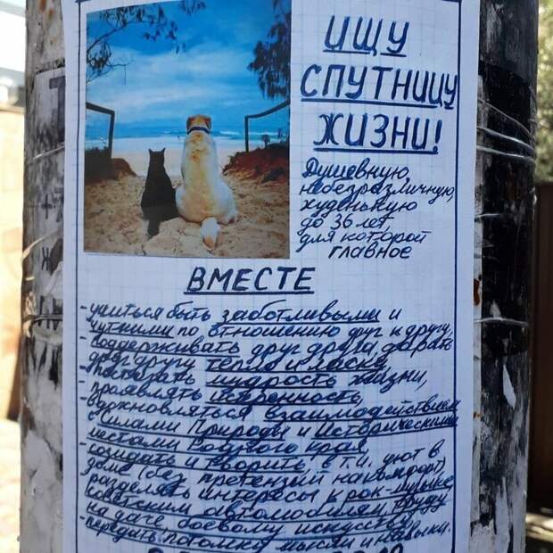 Тонкие и душевные поиски второй половинки Тонкие и душевные поиски второй половинки