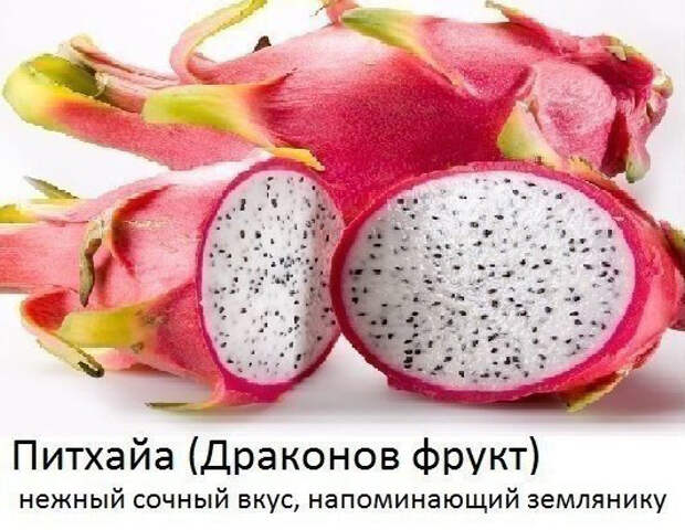 красная питайя