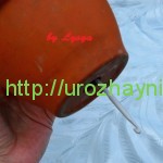 Полив комнатных растений во время отпуска