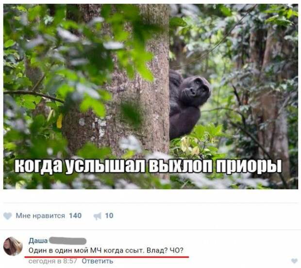 Юмор из социальных сетей (22 скриншота)