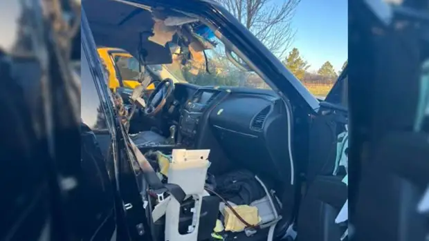 Медведь устроил погром в автомобиле, пытаясь добраться до блеска для губ