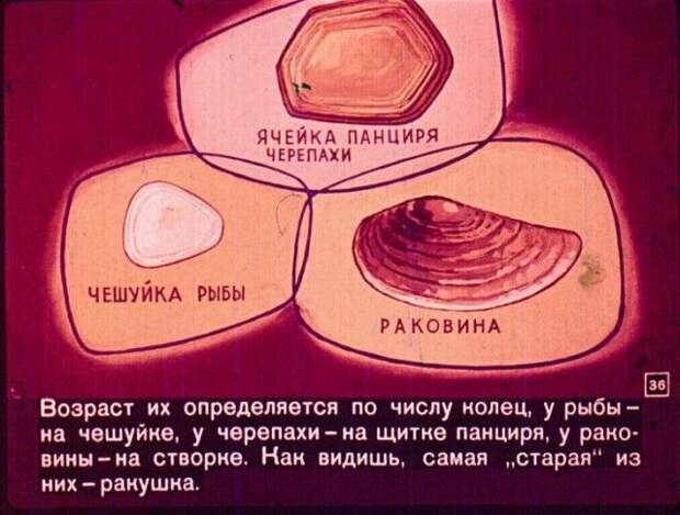 Диафильм вместо учебника по географии