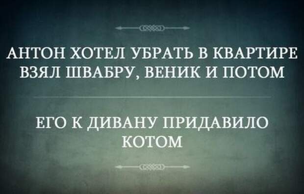 ЭТИ ФРАЗЫ НЕСОМНЕННО ПОДНИМУТ ВАШЕ НАСТРОЕНИЕ