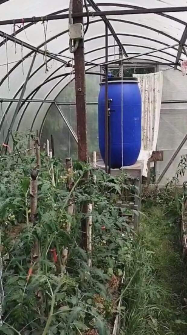Бочка в парнике на подиуме