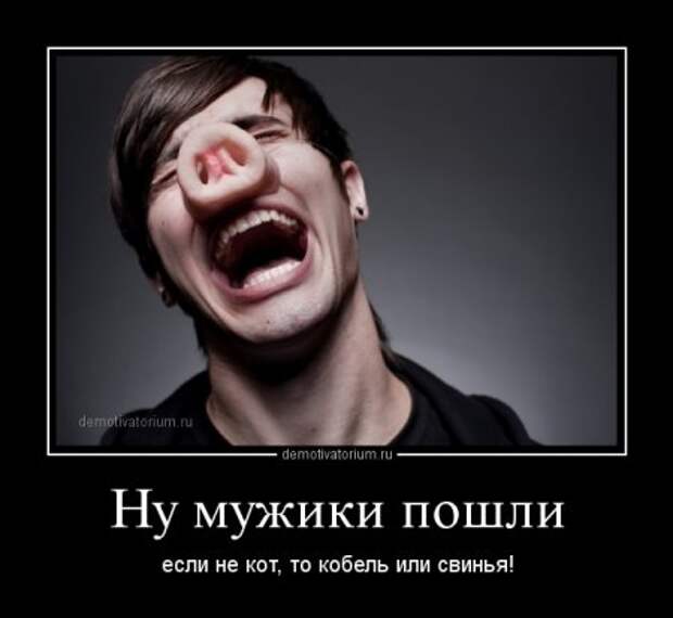 Картинка ох уж эти мужчины