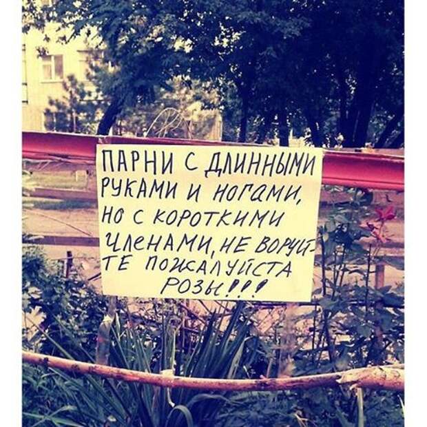 Вот они, герои нашего времени) Вот они, герои нашего времени) герои, прикол