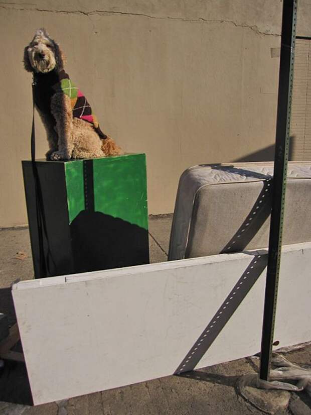 Мастер баланса