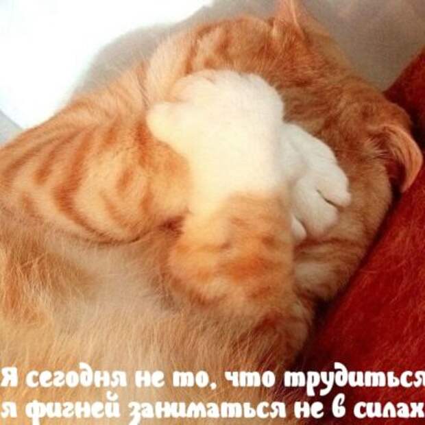 Юморные картинки