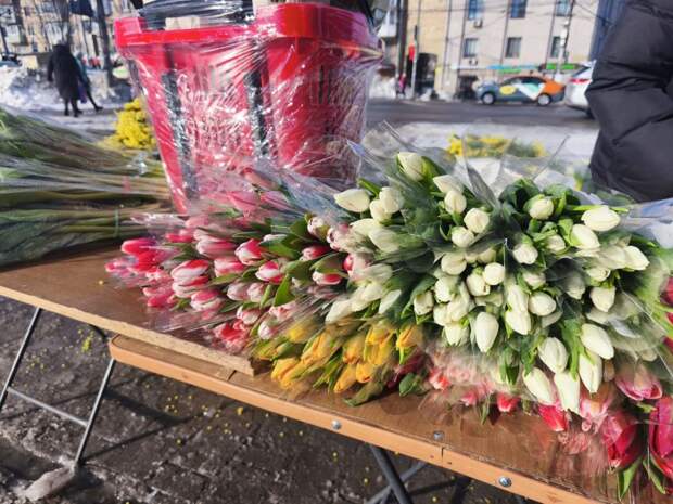 В Туле тюльпаны к 8 марта стоят от 120 до 200 рублей, мимоза — от 250 рублей