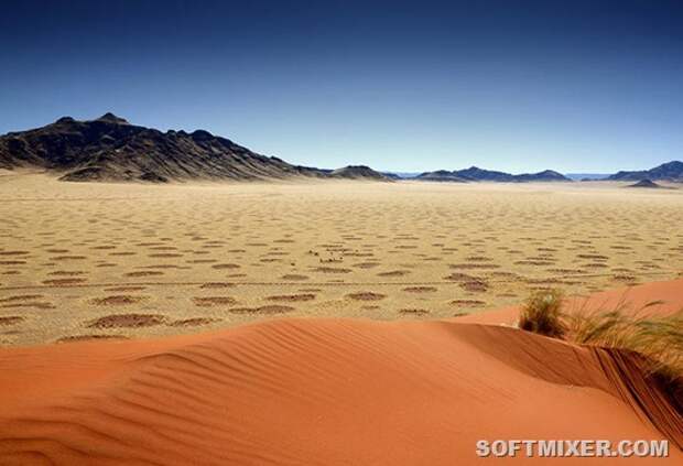 fairy-circles