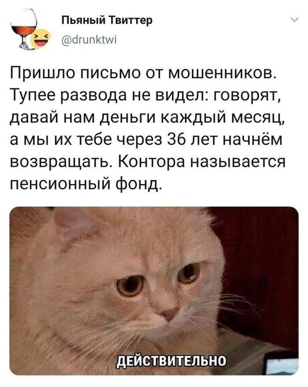 И действительно!.. И действительно!..