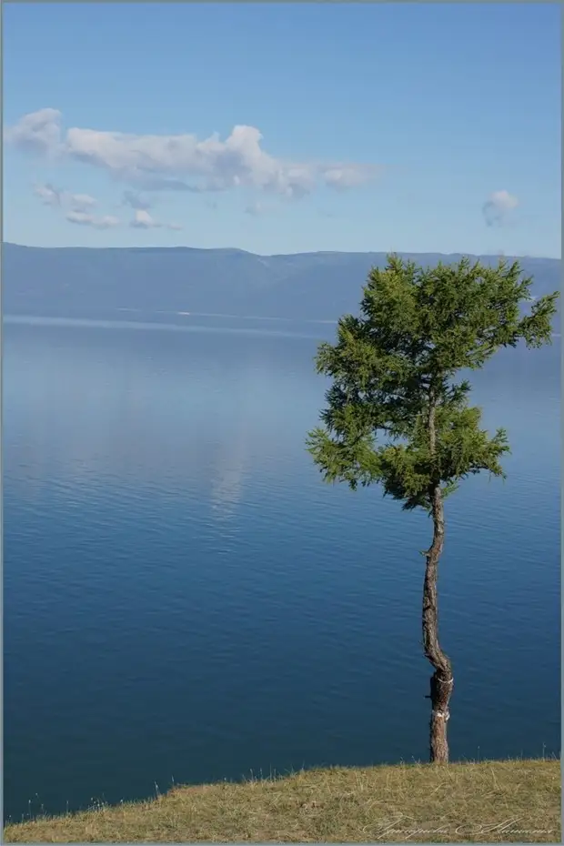 Байкал вертикальное фото