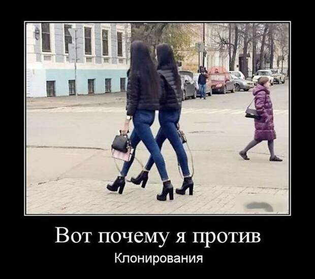 Демотиваторы на пятницу (29 фото) Демотиваторы на пятницу (29 фото)