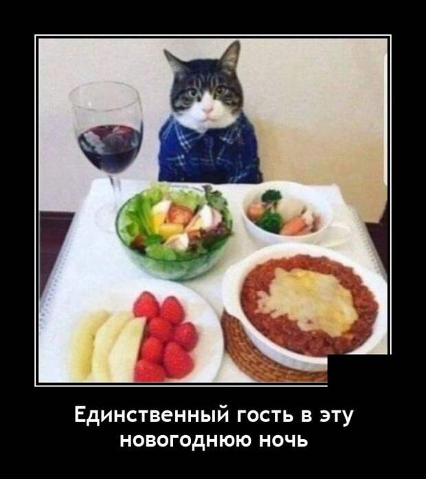 Демотиваторы 09.12.2020