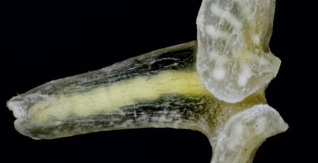 755616854d5e0be06156ffa0caf94bcb