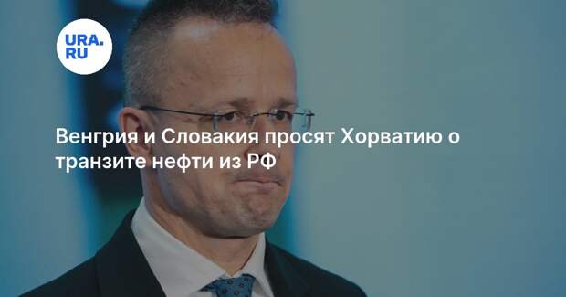 Сийярто: Венгрия и Словакия запросили у Хорватии транзит нефти