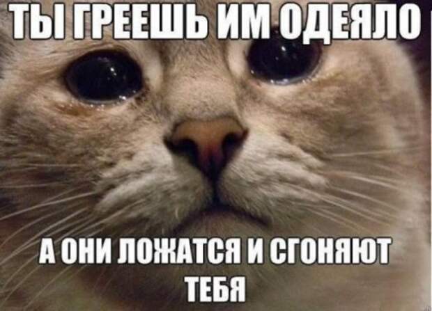 Пятничные фото приколы и картинки  (41 шт)