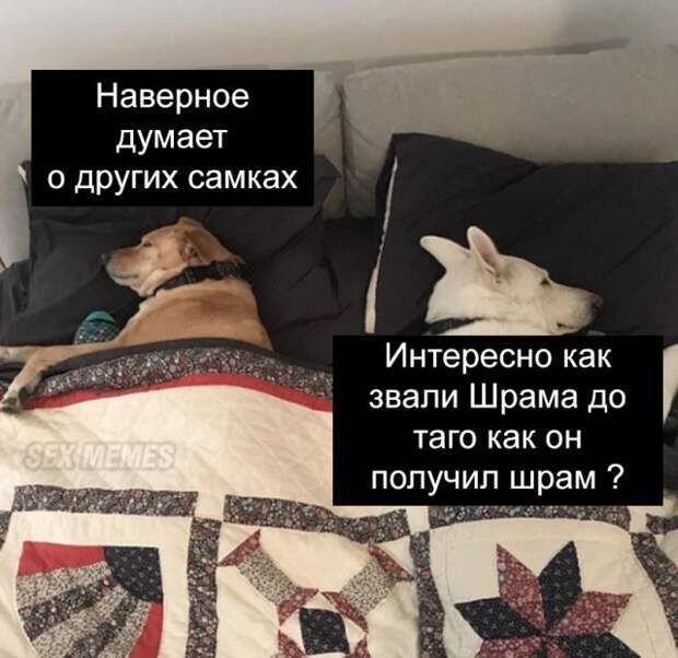 Мемы и приколы про &quot;это&quot;