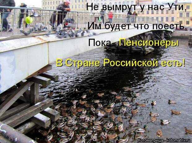 Котоматрица: Не вымрут у нас Ути, Им будет что поесть, Пока Пенсионеры В Стране Российской есть!