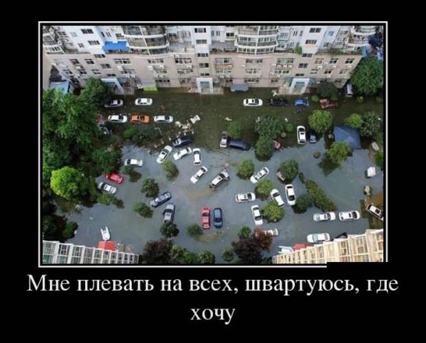 Демотиваторы - 1000 Демотиваторы - 1000