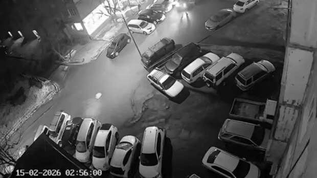 МВД: во Владивостоке задержали намеренно сбившего людей водителя-мигранта