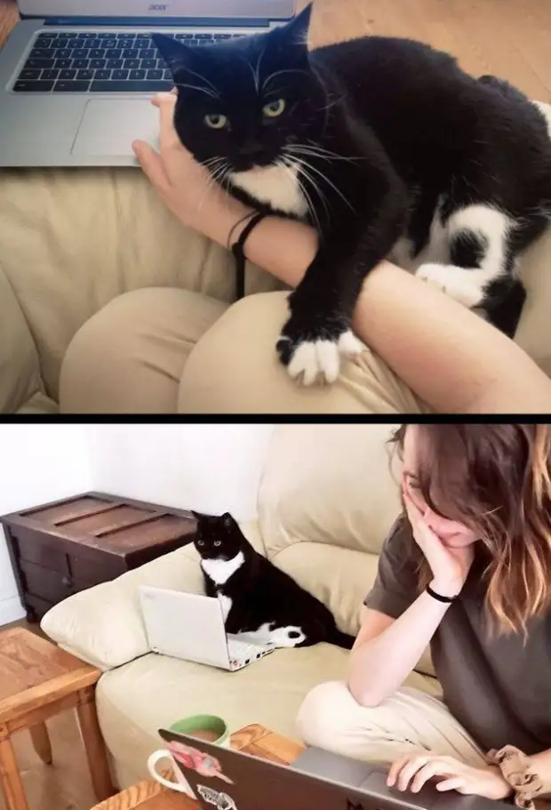 Подборка приколов (32 шт)