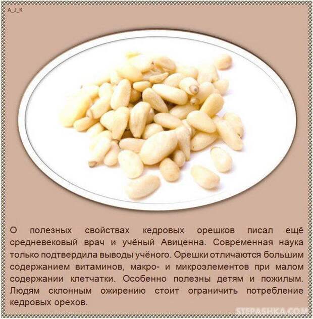 101540833335333nuts_07 (686x700, 98Kb)