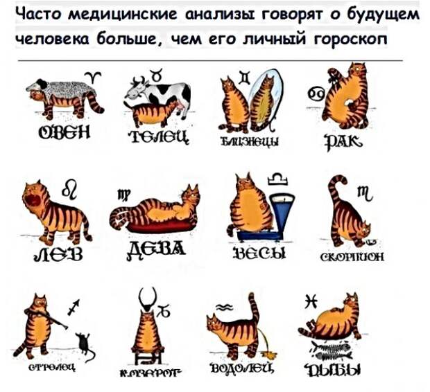 Анекдоты, истории и картинки с надписями