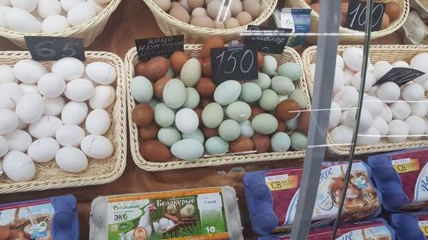 Зеленые яйца Яйца, Несушки, Продукты, Познавательно, Порода, Это познавательно, Наука, Факты, Длиннопост