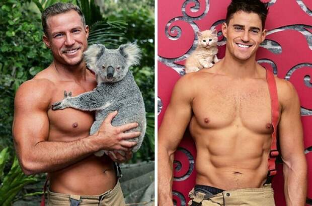 Bigpicture ru australian firefighters charity animals calendar 2022 coverimage