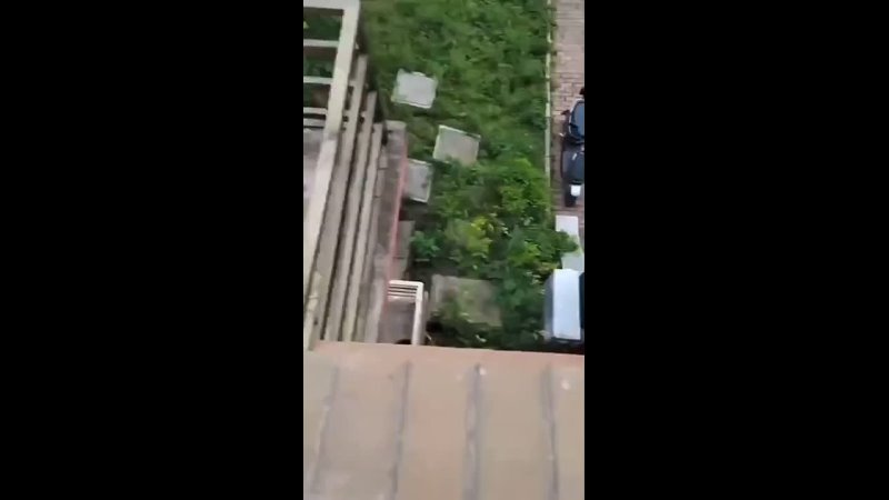 Video: Клип @donetskdnr_vk