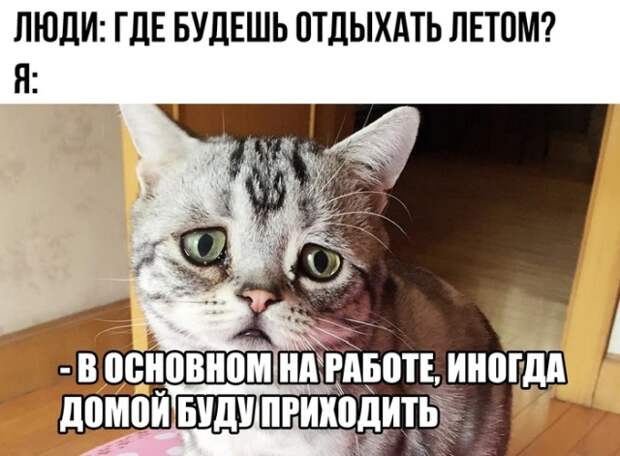 Подборка картинок. Вечерний выпуск (25 фото)