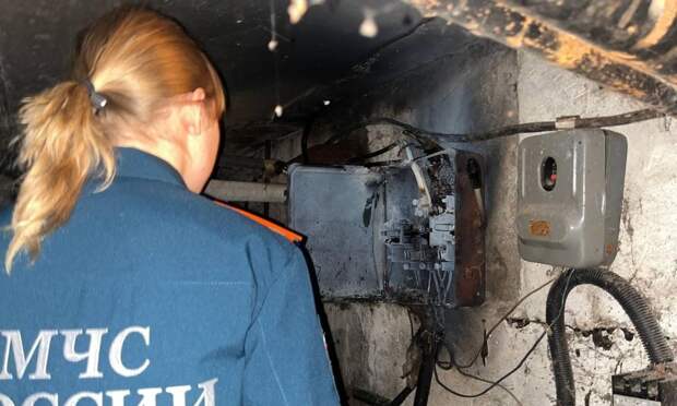 В архангельском учреждении крысы устроили «ток-шоу» с замыканием