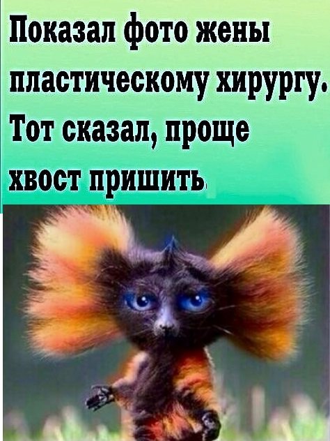 Анекдоты, истории и картинки с надписями