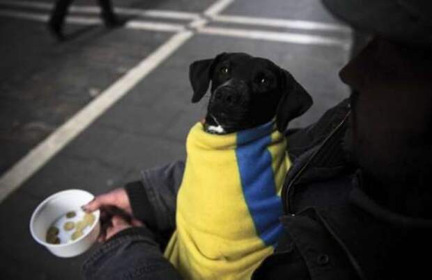 Бедность Украины