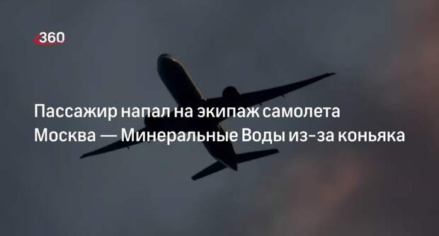Mash: пьяный пассажир самолета из Москвы сломал руку бортпроводнику