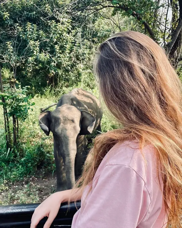 «Электричество выключают на 10-13 часов в сутки»: как сегодня живут люди на Шри-Ланке