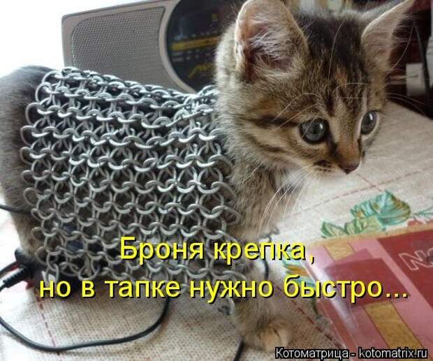 Котоматрицы