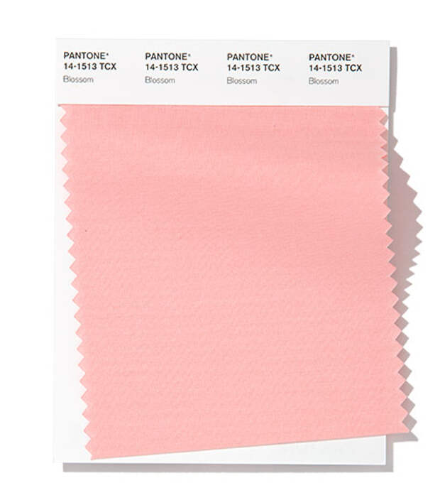 Blossom, a petal soft pink elicits an aura of romance.