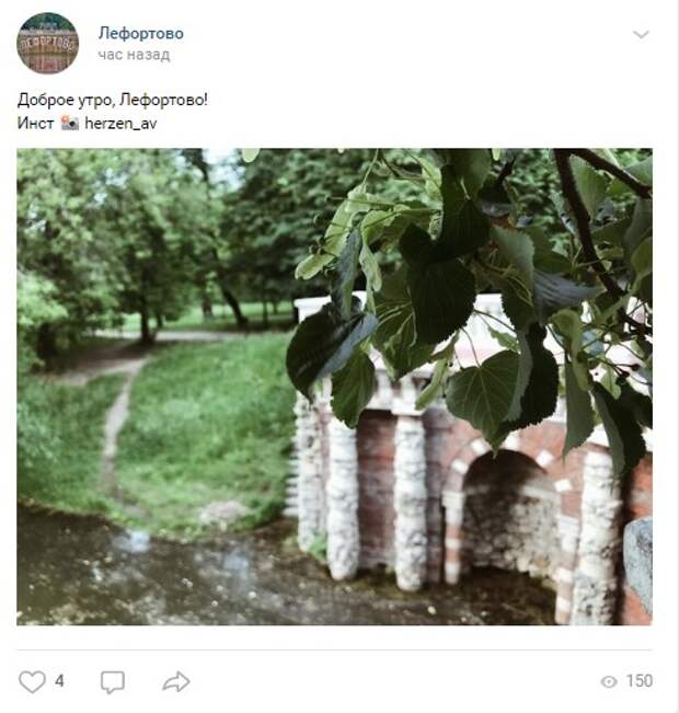 Фото дня: житель Лефортова сфотографировал «зеленую» часть района