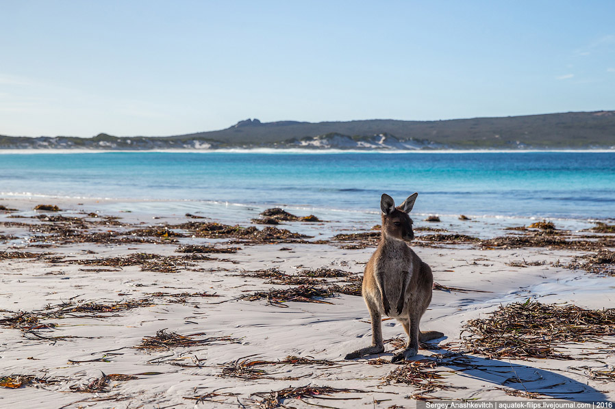 Lucky Bay