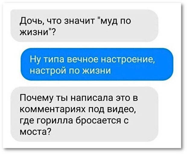 изображение: - Дочь, что значит 'муд по жизни'? - Ну типа вечное настроение, настрой по жизни. - Почему ты написала это в комментариях под видео где горилла бросается с моста. #CМС приколы